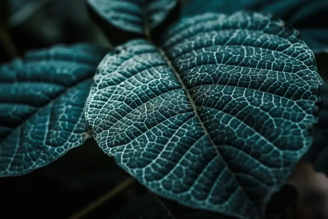 Your help centre is training data. Treat it like it.